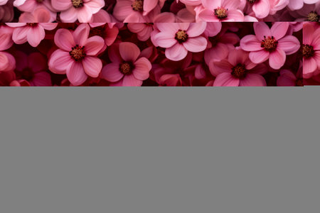 Vibrant Blooms: Stunning Fat Pink Flowers - AR 3:2の素材