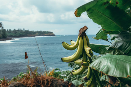 Serenity by the Waterside: Captivating Banana Plant in a 3:2 Frameの素材