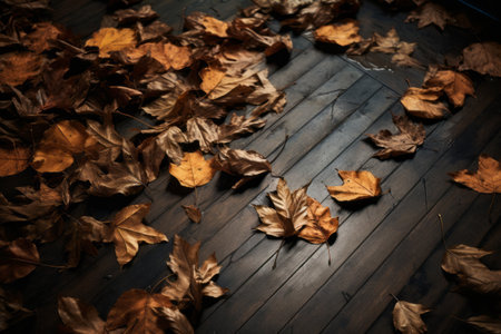 Falling Autumn: Brown Leaves on the Floorの素材