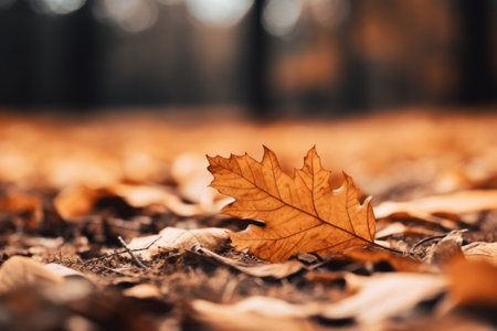 The Enchanting World of a Brown Leaf: A Tilt Shift Photograph in AR 3:2の素材