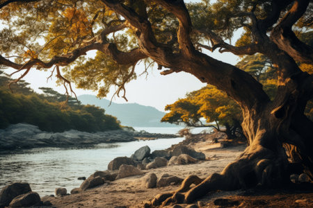 Wistful Driftwoods: Serenity by the Watersideの素材