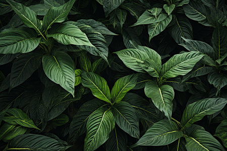 Lush Green-Leafed Plants: A Visual Delight in 3:2 Aspect Ratioの素材