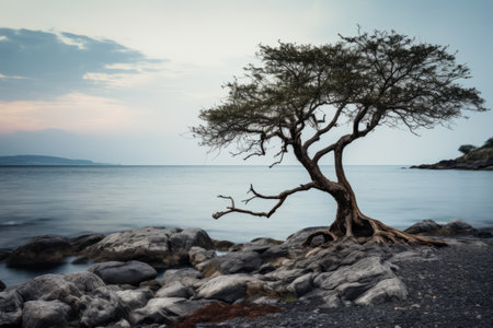 Captivating Tree and Sea Landscapes: A Breathtaking 3:2 Collectionの素材