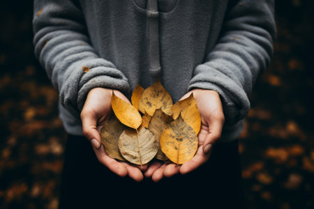 Embracing Natures Serenity: Person Holding Leaves --ar 3:2の素材
