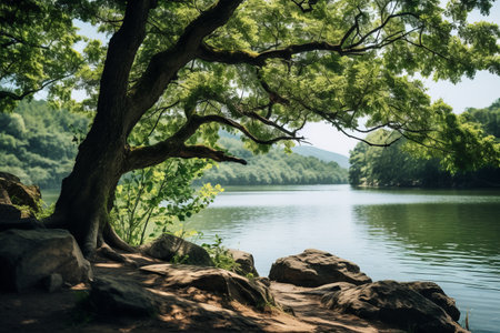 Serenity by the Waterside: A Daytime Oasis with a Green Leafed Treeの素材