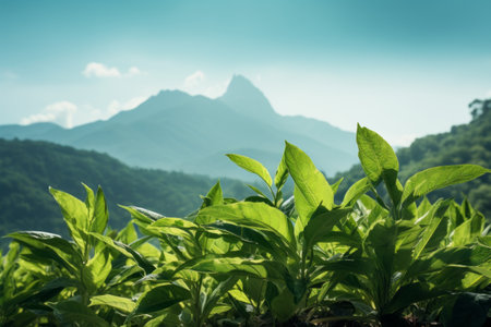 Enchanting Greenery: Capturing Mountainous Backdrops through 3:2 Leafy Plant Photographyの素材