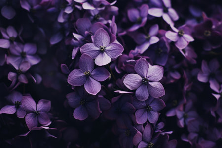 Breathtakingly Beautiful: Captivating the Essence of Purple Petaled Flowers in Stunning 3:2の素材