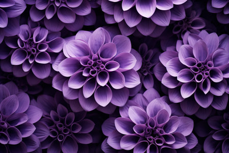 Vibrant Blooms: Captivating Purple Flower Wallpaper --ar 3:2の素材