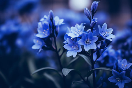 Captivating Close-Ups: Exploring the Enchanting Blue Petaled Flowers --ar 3:2の素材