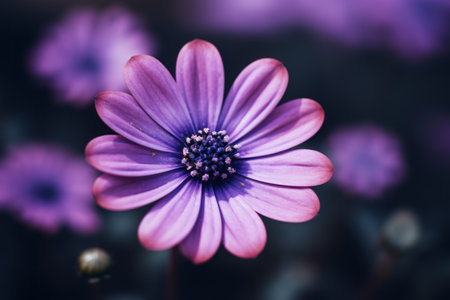 Enchanting Amethyst Blossom Captured in Exquisite Shallow Focus - AR 3:2の素材
