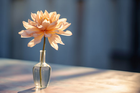 Blossoming Beauty: Capturing a Soft Bud Amidst a Blooming Flower on the Table [AR 3:2]の素材
