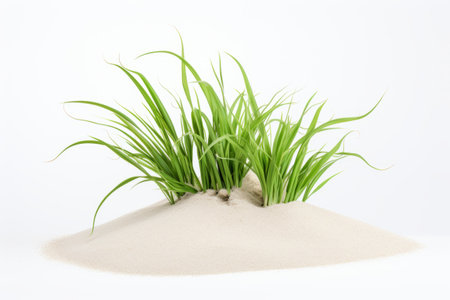 Vibrant Green Grass Against Sandy White Beach - AR 3:2 Compositionの素材