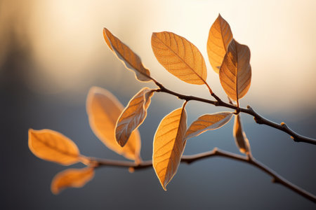 Exploring the Intricate Beauty of Leaves: A Close-up Viewの素材