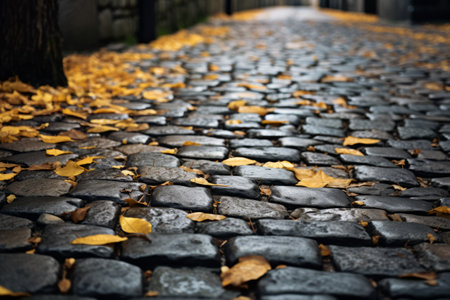 The Mesmerizing Path of Cobblestones: A Captivating 3:2 Artistic Perspectiveの素材