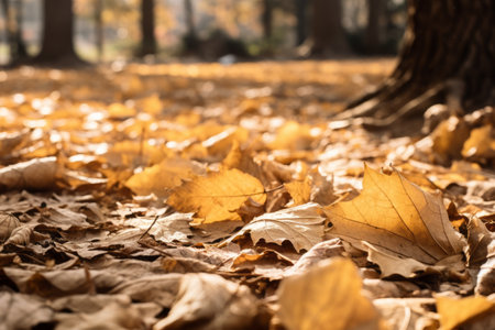 Falling into Tranquility: Capturing the Essence of Dry Autumn Leaves in Natureの素材