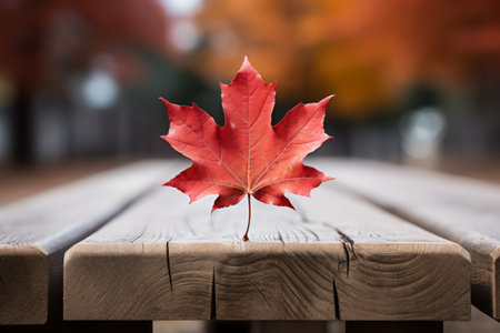 Natures Serenity: A Maple Leaf Crowned on a Rustic Wooden Throneの素材