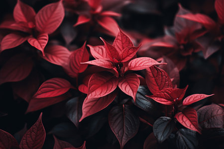 Crimson Foliage Delight: Unveiling the AR 3:2 Red Leafed Plantの素材