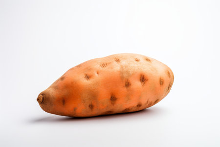 Natures Delicacy: Captivating Fresh Sweet Potato on a Clean White Canvasの素材