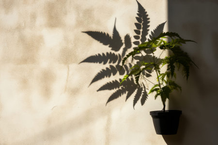 The Silent Dance: Capturing the Elusive Shadow of a Plant on a Wall --ar 3:2の素材