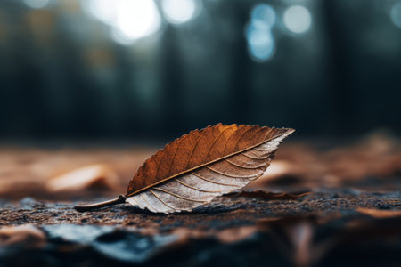 Capturing the Intricate Beauty: Selective Focus Photography of the Ovate Leaf - AR 3:2の素材