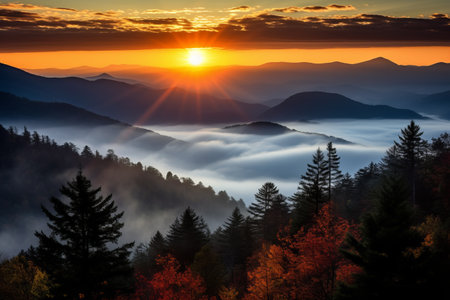 Captivating Colors: Experiencing the Breathtaking Autumn Sunrise in Smoky Mountain National Parkの素材