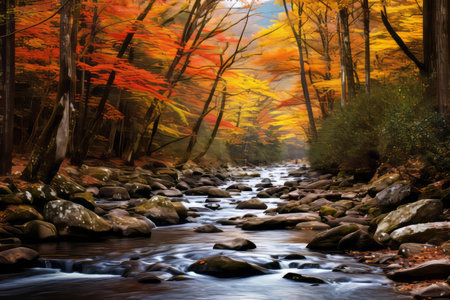 Mesmerizing Autumn Scenics: Exploring the Great Smoky Mountains National Parkの素材