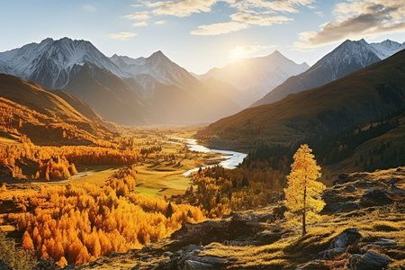 Captivating Autumn Splendor: A Valley Overflowing with Golden Trees in the_95の素材