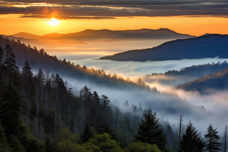Spectacular Sunset View: Mesmerizing Low Clouds in the Valley from Clingmans Dome _98の素材