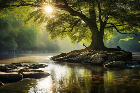 Nature's Canvas: Mesmerizing River Stone and Sunlit Tree Reflecting in Waterの素材