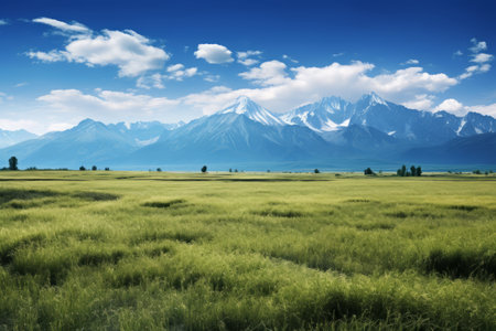 Harmony in Nature: Majestic Distant Mountains Embracing a Meadow of Grassの素材