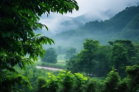 Discover the Breathtaking Rainforest Mountains of Thailand: An Outdoor Travelers' Paradiseの素材