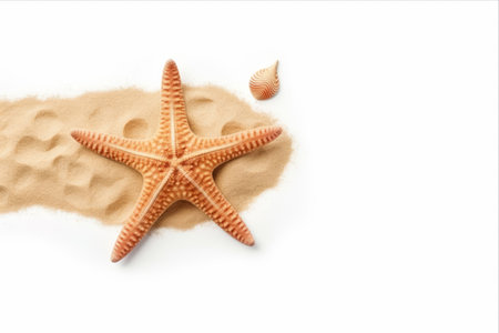 Exquisite Starfish on White Sand Border: A Captivating Vacation Conceptの素材