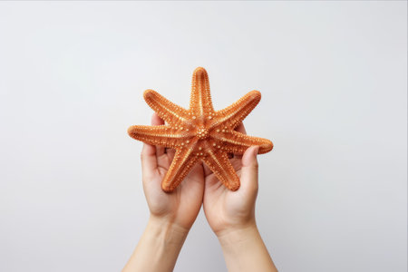 Exploring the Fascinating World of Starfish: A Close-up Look at the Brown Sea Star with Black Bandsの素材