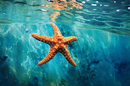 Submerged Serenity: Exploring the Graceful Dance of Life beneath the Shimmering Seaの素材