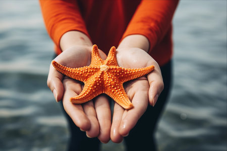Capturing the Radiance: The Majestic Starfish Pulled from the Oceanの素材