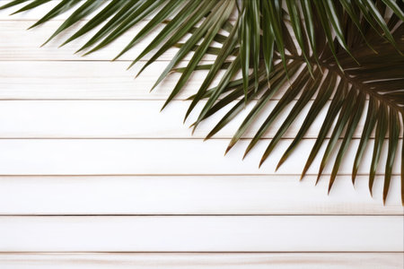 Coastal Tranquility: A Nautical Oasis with Palm Leaf and Starfish on White Wooden Backgroundの素材