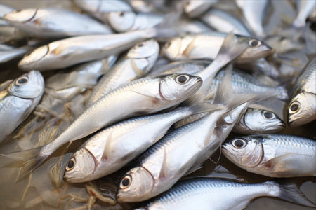 The Calcium Benefits of Fresh Small Fish: AR 3:2の素材