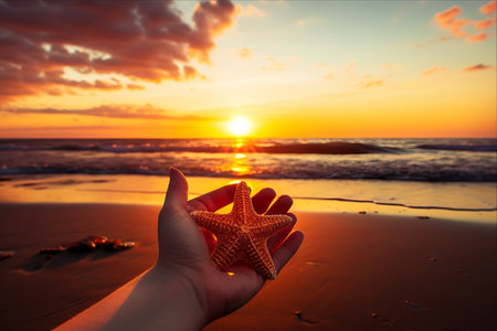 Embracing the Serenity: Capturing Sunrise with Starfish on the Beachの素材