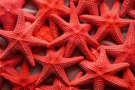 Exploring the Vibrant World of Red Caribbean Starfish: A Captivating 3:2 Starfish Backgroundの素材
