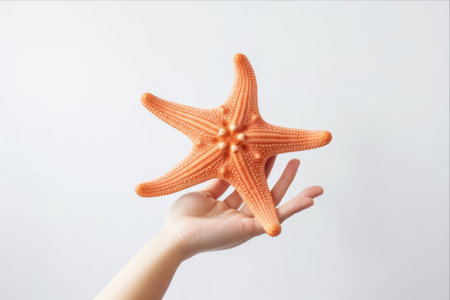 Captivating Encounter: Magnificent Starfish Grasped by a Person against a Pristine White Backgroundの素材