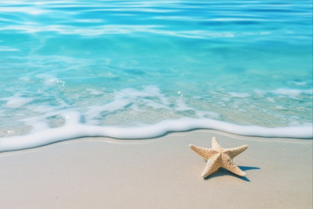 Captivating Summer Vibes: Blue Starfish Basking in Ocean Beach's Serene Watersの素材
