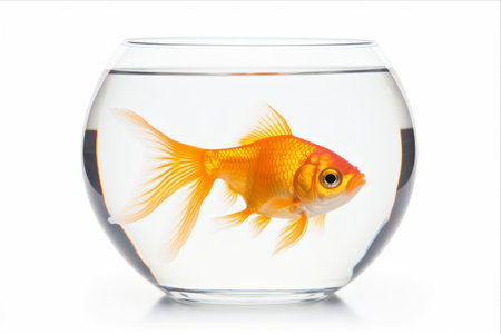 Symbolic Solitude: The Enigmatic Goldfish with Bowl Isolation against a Blank Canvas in 3:2 Aspect Ratioの素材