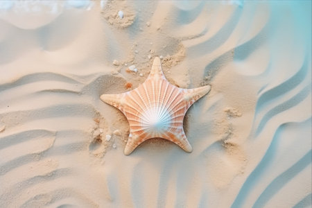 Serenity Unveiled: Captivating Summer Concept of a Seashell on Sand (Top View)の素材