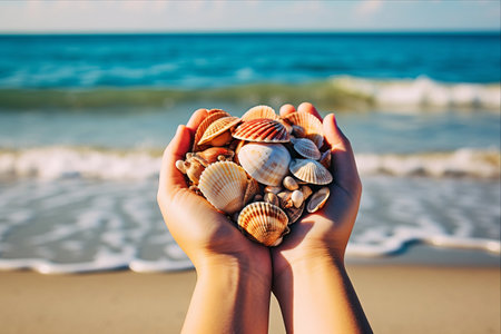 Capturing Serenity: Exquisite Seashells Graced by a Beach Background --AR 3:2の素材