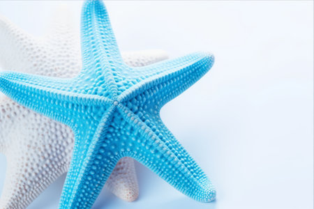 A Mesmerizing Close-up: Discover the Enigmatic Blue Starfish in its Natural Gloryの素材