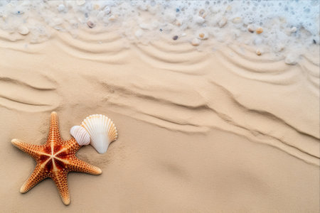 Mesmerizing Marine Wonders: A Serene Seashore with Starfish, Shells, and Sandy Delightの素材