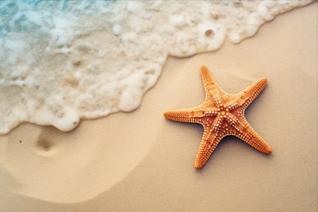Serene Seaside Retreat: Starfish and Sand Beach Getawayの素材
