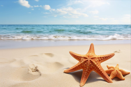 Soaking in Serenity: Captivating Starfish on a Pristine Sandy Sea Beachの素材