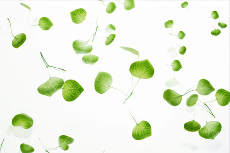 Nature's Aerial Symphony: Vibrant Green Leaves Soaring against a Pristine White Paletteの素材