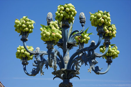 Nature's Contrast: Green Euphorbia Candelabrum Amidst a Blue Sky with Fruitsの素材